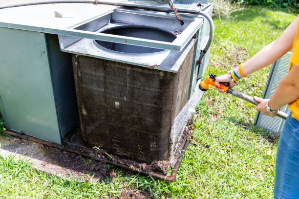Best Air Duct Mold Removal  in Rowland Heights, CA